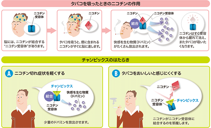 チャンピックス（飲み薬）